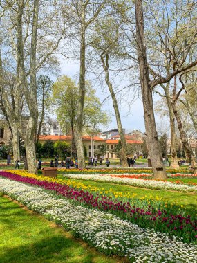 Gulhane lale Parkı, İstanbul 'da bahar lale festivali. İstanbul' un Glhane Parkı 'nda renkli laleler çiçek açıyor. 