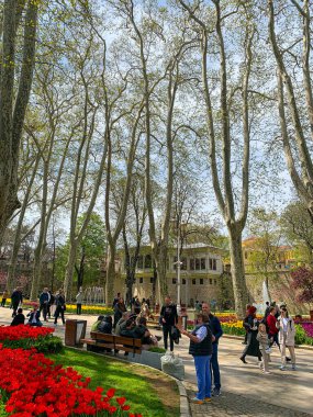 Gulhane lale Parkı, İstanbul 'da bahar lale festivali. İstanbul' un Glhane Parkı 'nda renkli laleler çiçek açıyor. 