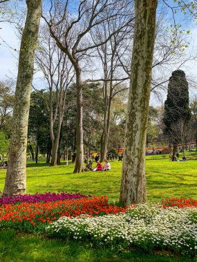 Gulhane lale Parkı, İstanbul 'da bahar lale festivali. İstanbul' un Glhane Parkı 'nda renkli laleler çiçek açıyor. 