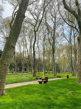 Gulhane lale Parkı, İstanbul 'da bahar lale festivali. İstanbul' un Glhane Parkı 'nda renkli laleler çiçek açıyor.