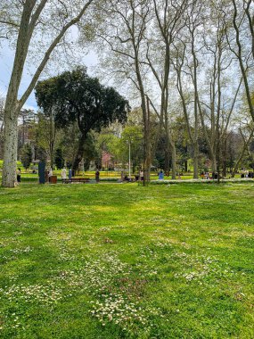Gulhane lale Parkı, İstanbul 'da bahar lale festivali. İstanbul' un Glhane Parkı 'nda renkli laleler çiçek açıyor.