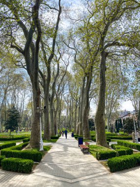 Gulhane lale Parkı, İstanbul 'da bahar lale festivali. İstanbul' un Glhane Parkı 'nda renkli laleler çiçek açıyor.