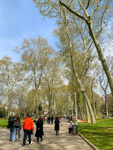 Gulhane lale Parkı, İstanbul 'da bahar lale festivali. İstanbul' un Glhane Parkı 'nda renkli laleler çiçek açıyor. 