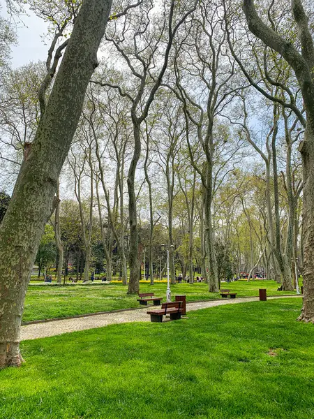 Gulhane lale Parkı, İstanbul 'da bahar lale festivali. İstanbul' un Glhane Parkı 'nda renkli laleler çiçek açıyor.