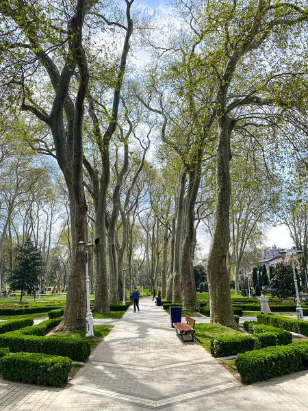 Gulhane lale Parkı, İstanbul 'da bahar lale festivali. İstanbul' un Glhane Parkı 'nda renkli laleler çiçek açıyor.