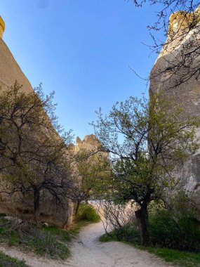 Goreme, Kapadokya, Türkiye 'deki Z12 ve Pasabaglar Arkeoloji Alanındaki Peri bacaları