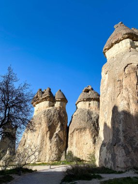 Goreme, Kapadokya, Türkiye 'deki Z12 ve Pasabaglar Arkeoloji Alanındaki Peri bacaları 