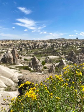 Büyüleyici ve eşsiz doğa ve kaya oluşumunun hava ve panoramik görüntüsü, Kapadokya 'nın peri bacaları, Goreme, Türkiye' nin güzel bir bahar günü mavi gökyüzü, sarı kır çiçeklerinin açtığı