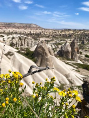 Büyüleyici ve eşsiz doğa ve kaya oluşumunun hava ve panoramik görüntüsü, Kapadokya 'nın peri bacaları, Goreme, Türkiye' nin güzel bir bahar günü mavi gökyüzü, sarı kır çiçeklerinin açtığı