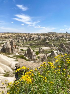 Büyüleyici ve eşsiz doğa ve kaya oluşumunun hava ve panoramik görüntüsü, Kapadokya 'nın peri bacaları, Goreme, Türkiye' nin güzel bir bahar günü mavi gökyüzü, sarı kır çiçeklerinin açtığı