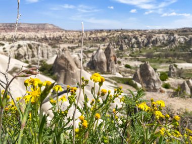 Büyüleyici ve eşsiz doğa ve kaya oluşumunun hava ve panoramik görüntüsü, Kapadokya 'nın peri bacaları, Goreme, Türkiye' nin güzel bir bahar günü mavi gökyüzü, sarı kır çiçeklerinin açtığı