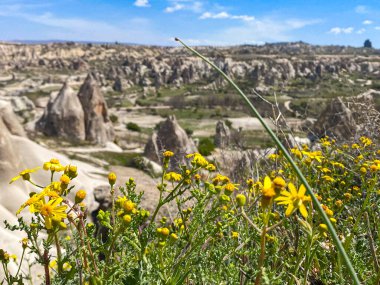 Büyüleyici ve eşsiz doğa ve kaya oluşumunun hava ve panoramik görüntüsü, Kapadokya 'nın peri bacaları, Goreme, Türkiye' nin güzel bir bahar günü mavi gökyüzü, sarı kır çiçeklerinin açtığı