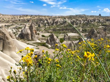 Büyüleyici ve eşsiz doğa ve kaya oluşumunun hava ve panoramik görüntüsü, Kapadokya 'nın peri bacaları, Goreme, Türkiye' nin güzel bir bahar günü mavi gökyüzü, sarı kır çiçeklerinin açtığı