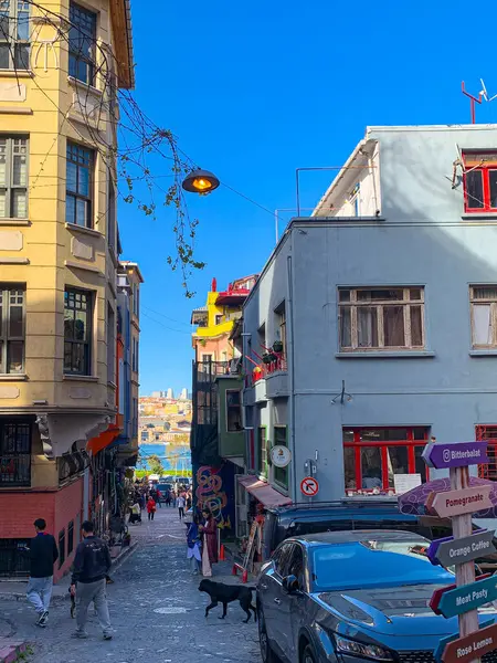 Balat, İstanbul 'un Balat, Fener semtindeki renkli evler ve binalar bir sürü modaya uygun kafe, restoran ve dükkanlarla dolu.