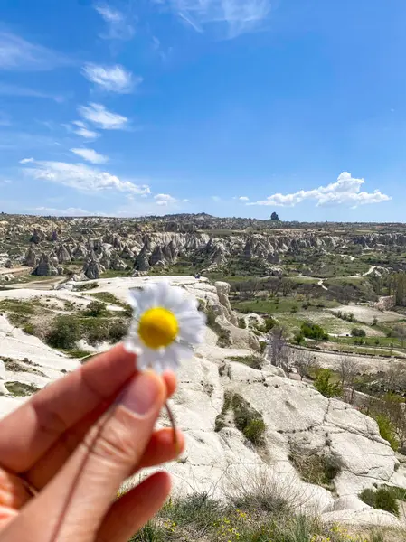 Büyüleyici ve eşsiz doğa ve kaya oluşumunun hava ve panoramik görüntüsü, Kapadokya 'nın peri bacaları, Goreme, Türkiye' nin güzel bir bahar günü mavi gökyüzü, sarı kır çiçeklerinin açtığı 
