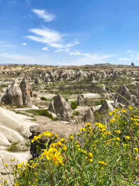 Büyüleyici ve eşsiz doğa ve kaya oluşumunun hava ve panoramik görüntüsü, Kapadokya 'nın peri bacaları, Goreme, Türkiye' nin güzel bir bahar günü mavi gökyüzü, sarı kır çiçeklerinin açtığı