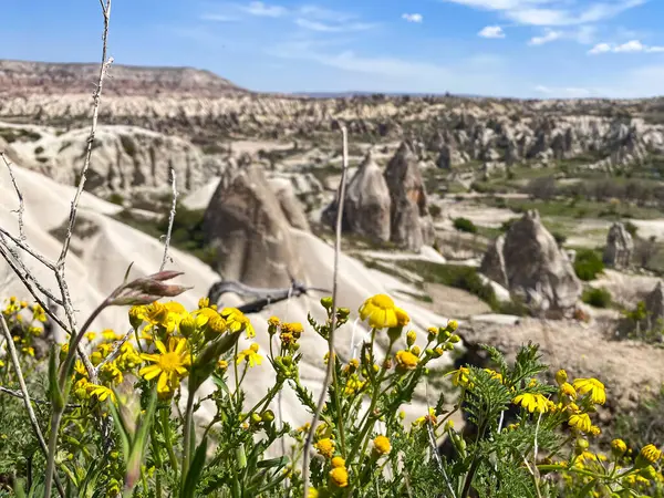 Büyüleyici ve eşsiz doğa ve kaya oluşumunun hava ve panoramik görüntüsü, Kapadokya 'nın peri bacaları, Goreme, Türkiye' nin güzel bir bahar günü mavi gökyüzü, sarı kır çiçeklerinin açtığı