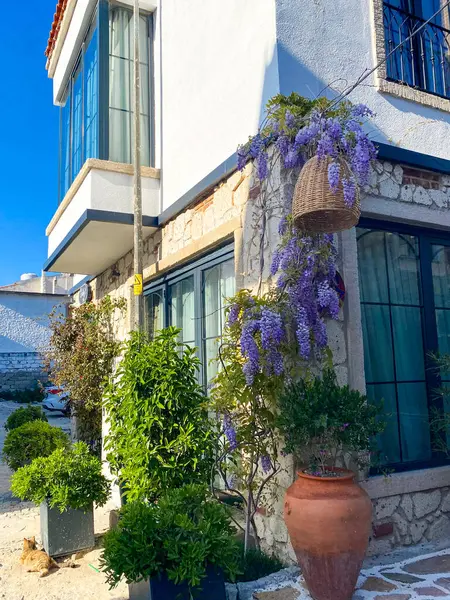 Alacati 'nin küçük, sevimli bir kasabası, kaldırımtaşı sokak aralığı, canlı ve modaya uygun kafeler, restoranlar ve güzel renkli dekorasyonlarla dolu. 