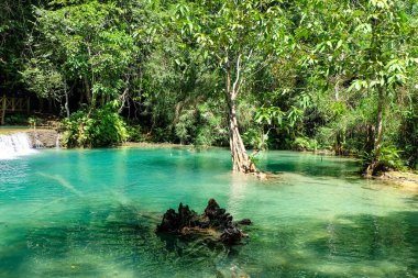 Kuang Si şelalesinin en görkemli ve nefes kesici doğası ve şelalesi ve onun yeşil, zümrüt kristal berrak suyu ve Luang Prabang Gölü. 