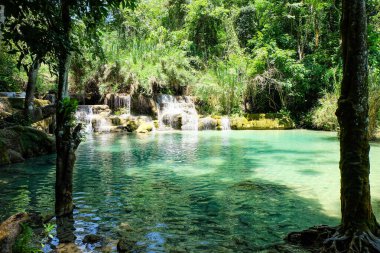 Kuang Si şelalesinin en görkemli ve nefes kesici doğası ve şelalesi ve onun yeşil, zümrüt kristal berrak suyu ve Luang Prabang Gölü. 