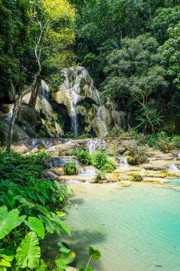 Kuang Si şelalesinin en görkemli ve nefes kesici doğası ve şelalesi ve onun yeşil, zümrüt kristal berrak suyu ve Luang Prabang Gölü. 