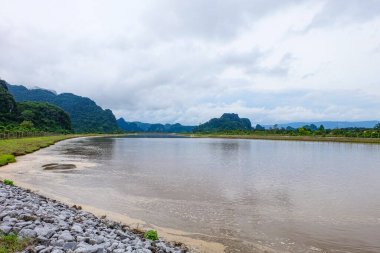 River flow, natural stream and the beautiful fresh green nature and mountain in the south of Laos 