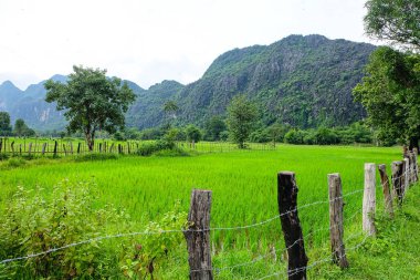 Beautiful green nature, rice paddy and mountain in the south of Laos, Khammuane province 