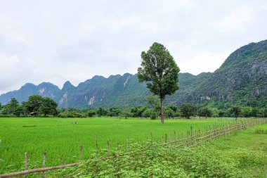 Beautiful green nature, rice paddy and mountain in the south of Laos, Khammuane province 