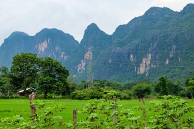Beautiful green nature, rice paddy and mountain in the south of Laos, Khammuane province 