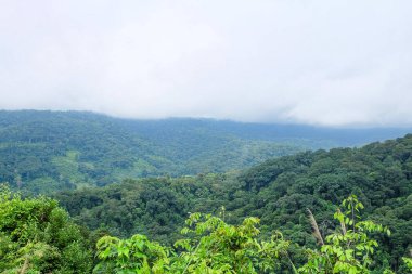 Fresh greenery mountain and rainforest of Laos 