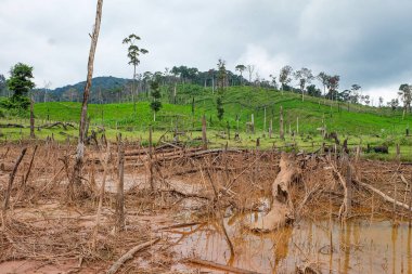 Fresh green nature and mountain in the south of Laos, Khammuane province 