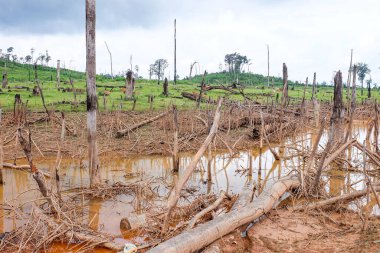 Fresh green nature and mountain in the south of Laos, Khammuane province 