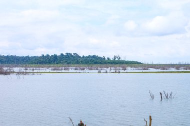 Fresh green nature, local boats, fisherman at Nakai Plateau Reservoir of Namthuen 2 dam and hydropower, Laos  