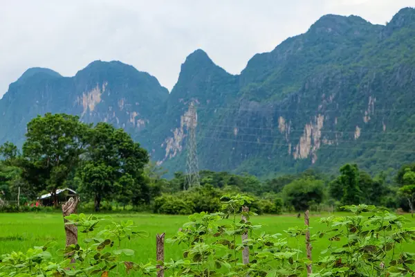 Beautiful green nature, rice paddy and mountain in the south of Laos, Khammuane province 
