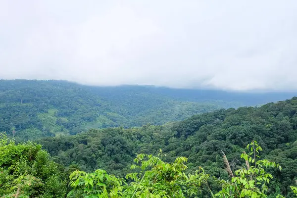 Fresh greenery mountain and rainforest of Laos 
