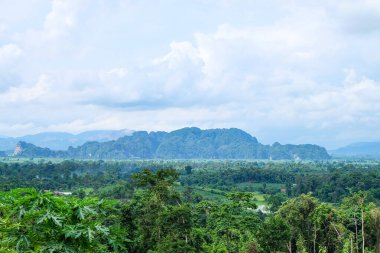  Fresh greenery mountain and rainforest of Laos 