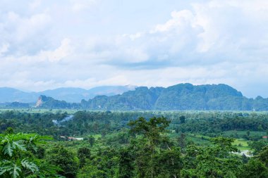  Fresh greenery mountain and rainforest of Laos 
