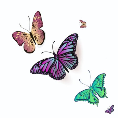suluboya kelebekler beyaz arka planda izole