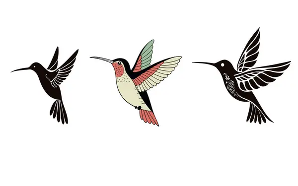 Siyah beyaz sinekkuşu uçuyor