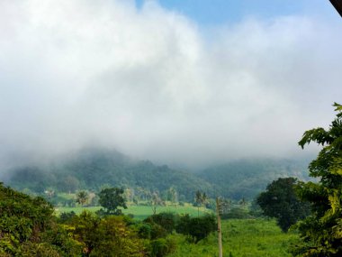 Dağın güzel manzarası
