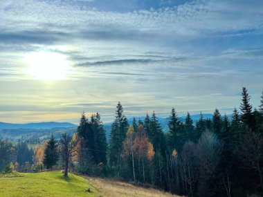 Bu çarpıcı fotoğraf Ukrayna 'nın Bukovel kentindeki Karpat Dağları' nın dokunulmamış güzelliğini yansıtıyor. Bereketli ormanlarla kaplı yuvarlanan tepeler geniş ve açık bir gökyüzünün altında uzanırken kıtır kıtır dağlar...