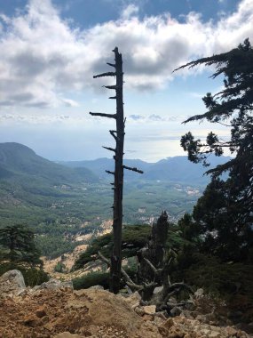 Dağ zirvesinden nefes kesici bir manzara uzanır yuvarlanan yamaçlar uçsuz bucaksız, boyalı gökyüzünün altında uçsuz bucaksız mavi denizle buluşur. Toprağın, suyun ve gökyüzünün mükemmel uyumu, ihtişamı yakalıyor ve...