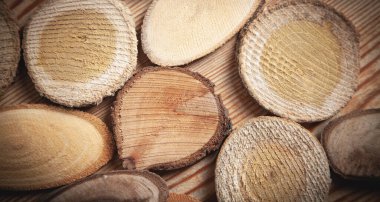 Ahşap zemin üzerinde bir ağaç dilimleri.