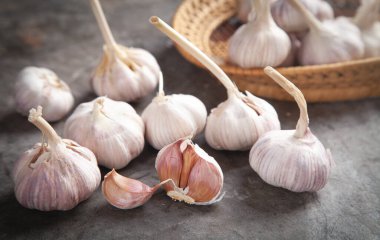 Garlic bulbs on the stone background. clipart