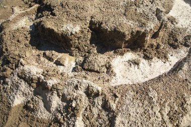 Arkaplan inşaatı için ıslak çimento dokusu.