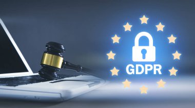 Yargıç Tokmak. GDPR- Genel Veri Koruma Düzenleme