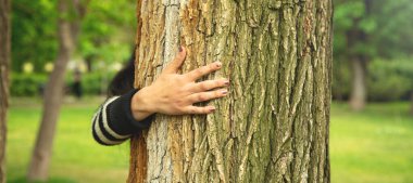 Ormanda ağaç gövdesine sarılan bir kadın eli. Çevre koruma için ağaç koruma