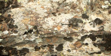 Taş dokusu ya da arka plan. Doğal malzeme.