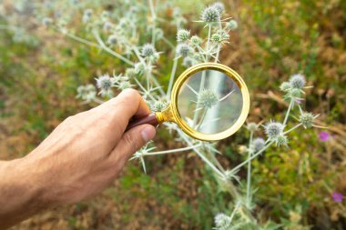 Erkek el, dışarıda büyüteç tutuyor..