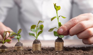 Yükselen madeni paralara para koyan adam..